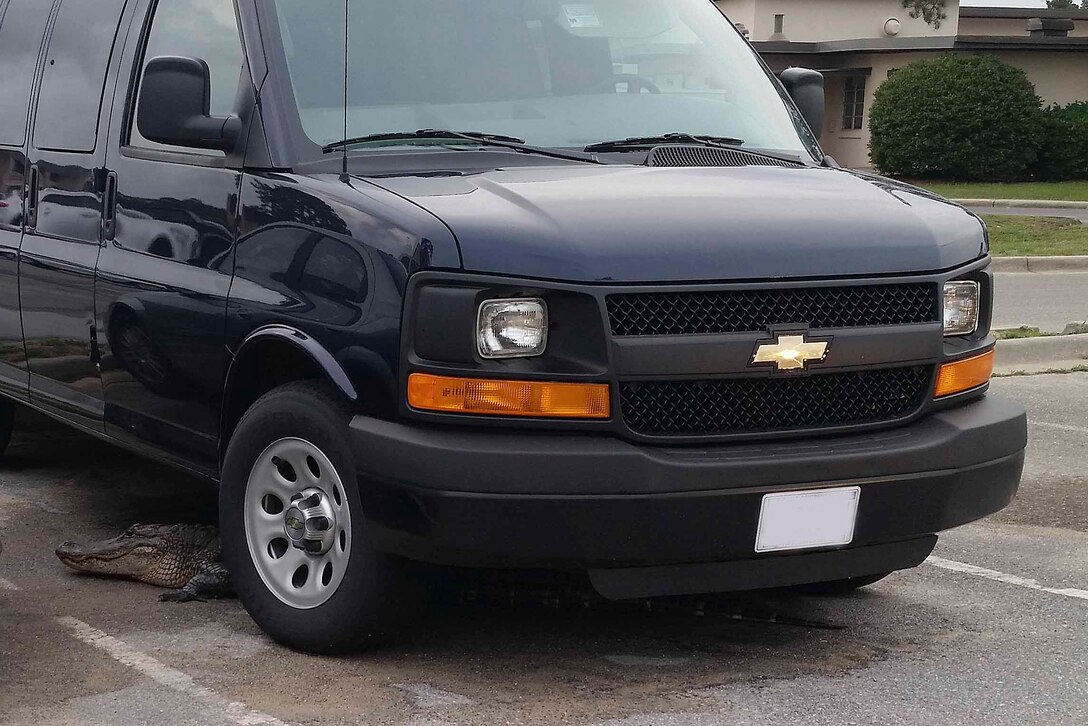 An alligator rests under a government-owned vehicle on Hurlburt Field, Fla., May 28, 2014. The alligator was found in the 9th Special Operations Squadron parking lot. (Courtesy photo)