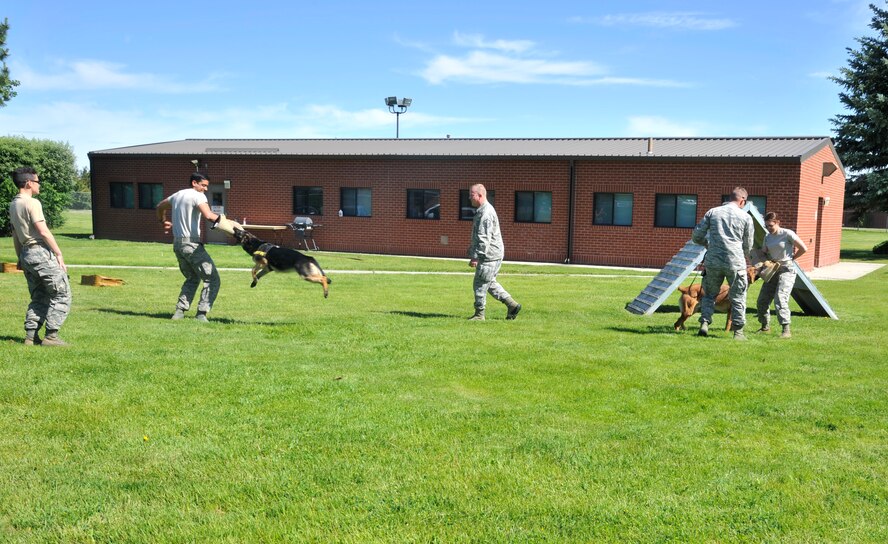 Members of the 92nd Security Forces Squadron assist cadets as they participate in a hands-on demonstration with military working dogs at Fairchild Air Force Base, Washington, June 10, 2014. The cadets visit was for the Operation Air Force program, allowing them to travel to Air Force bases across the world to better understand the operational mission. (U.S. Air Force photo/Senior Airman Mary O'Dell)