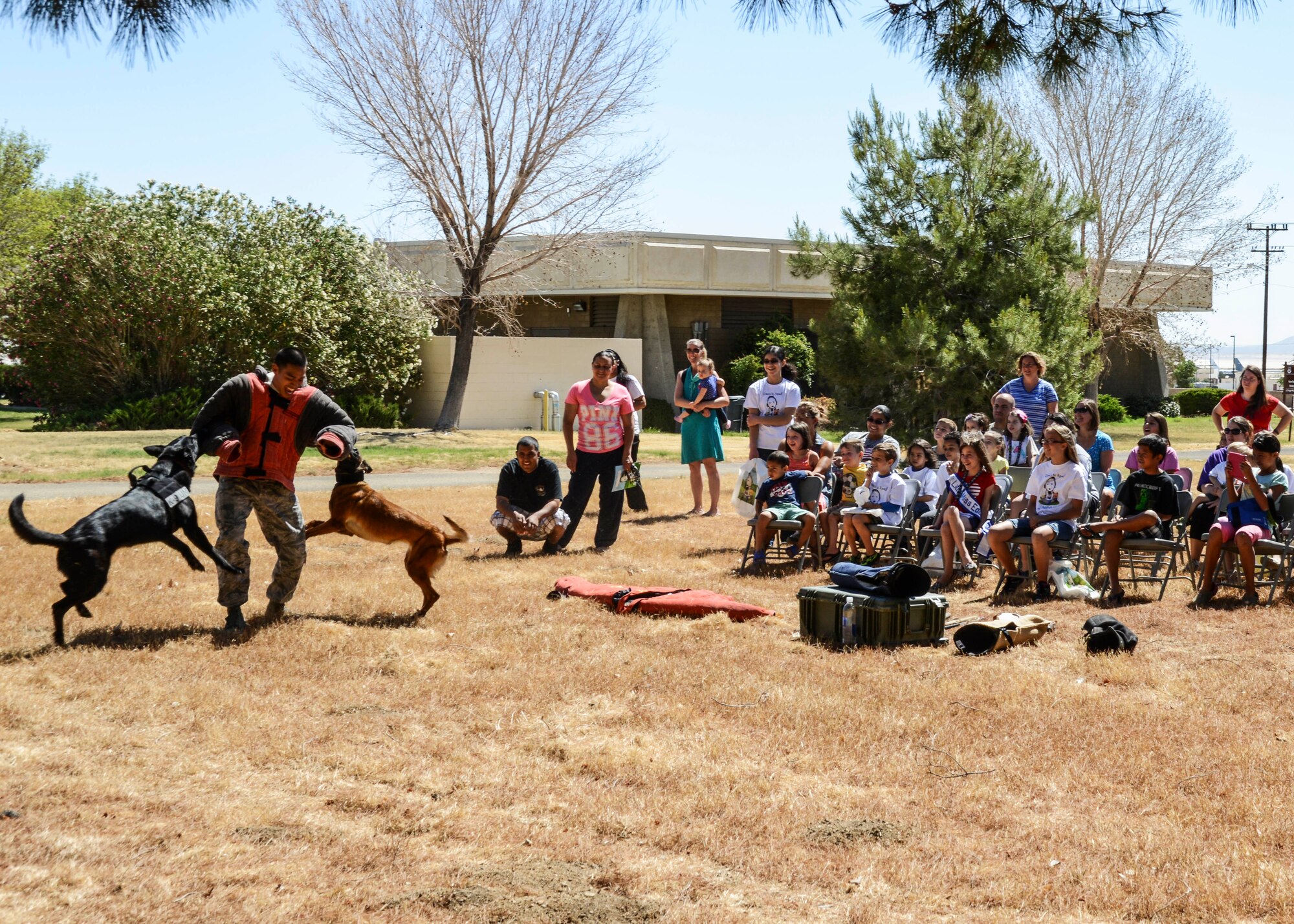 Senior Airman Adrian Mac, 412th Security Forces Squadron, working dog handler, is "attacked" by Rolf (left) and GGreta (right). (U.S. Air Force photo by Rebecca Amber)