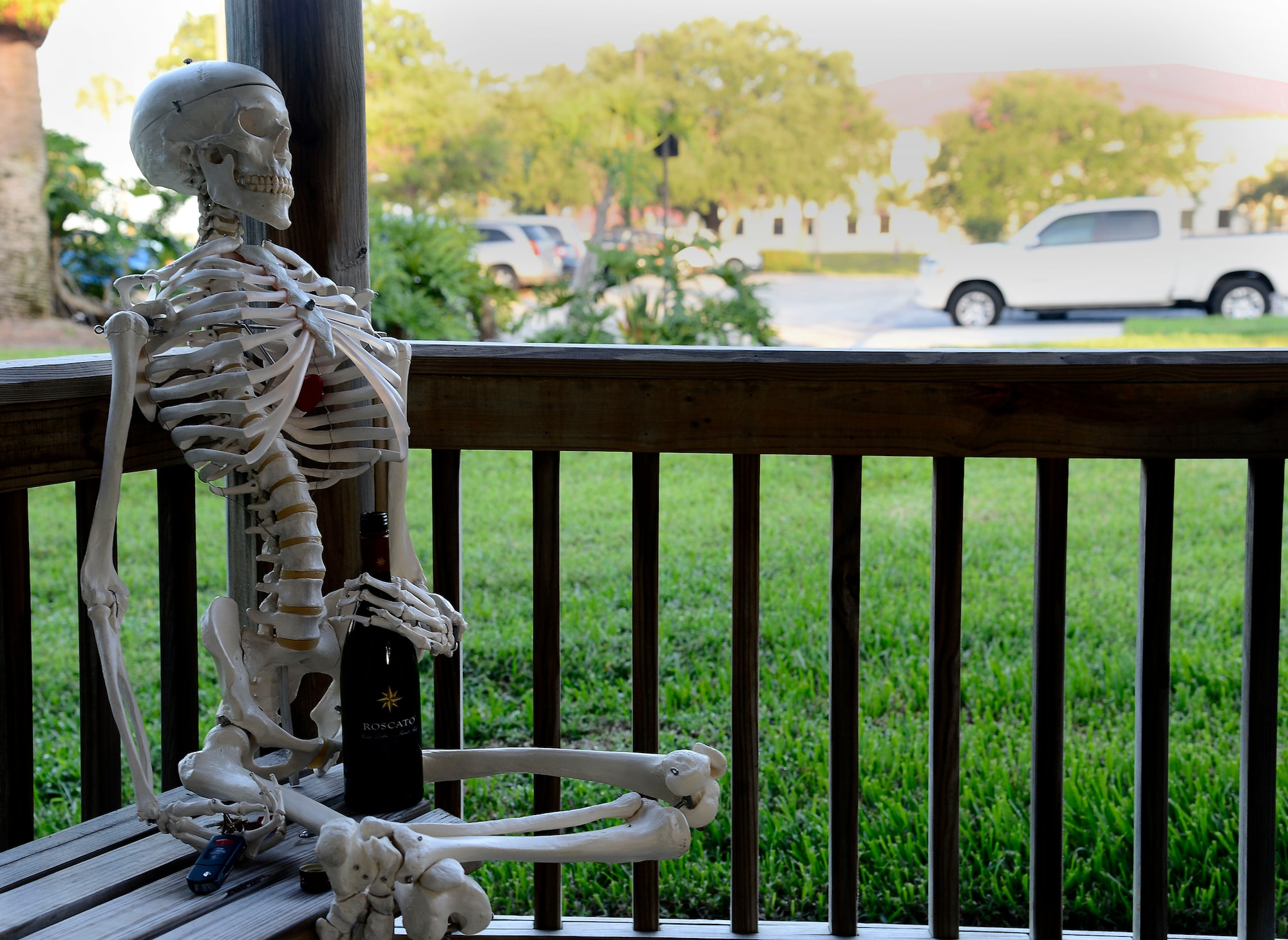 MacBones, 6th Air Mobility Wing safety skeleton, sits down with his car keys and a bottle of alcohol at MacDill Air Force Base, Fla., June 17, 2014. Drinking and driving not only endangers yourself, but everyone around you. (U.S. Air Force photo by Airman 1st Class Tori Schultz/Released)