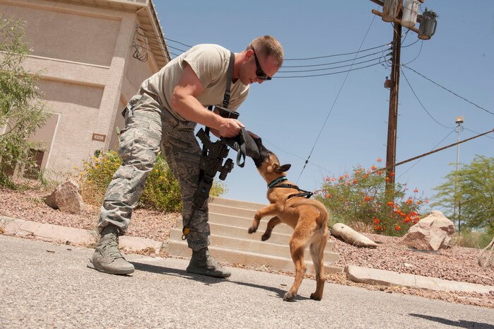 Tech. Sgt. Kennedy Wilkinson, 99th Security Forces Squadron kennel master, practices bite techniques with Jodin, a Belgian Malinois puppy from Elite Tactical Security, during a joint mass odor training event June 11, 2014, at Nellis Air Force Base, Nev. The training event involved approximately 40 working dogs from several K-9 units around Las Vegas and included bite, interrogation and explosive training. (U.S. Air Force photo by Airman 1st Class Rachel Loftis)