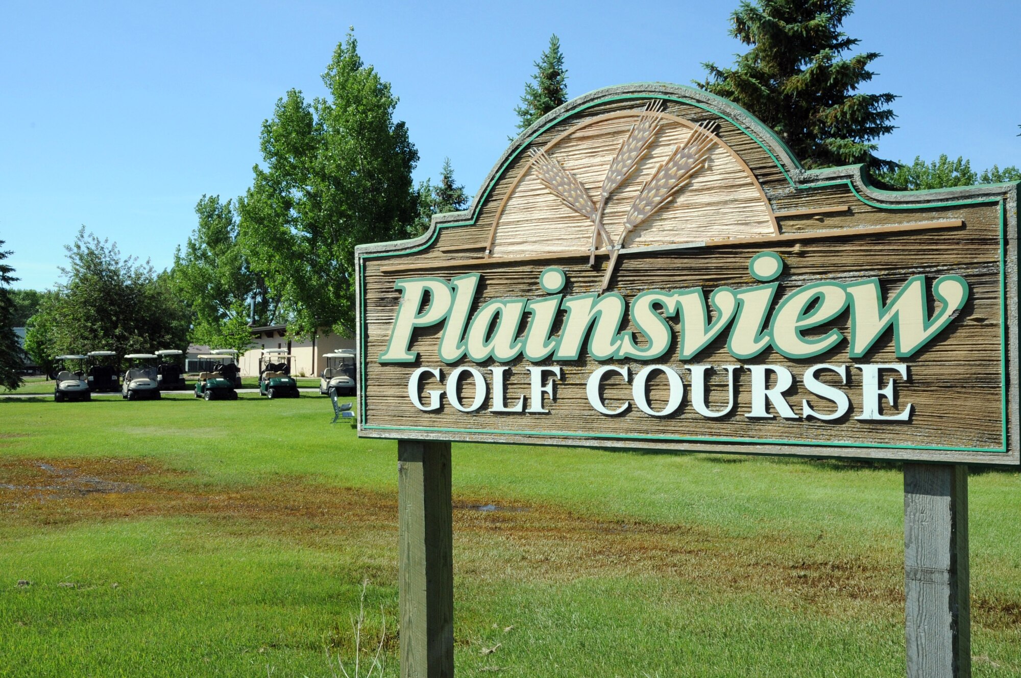 Golf carts sit lined up ready for the Military Affairs Committee golf tournament at Plainsview Golf Course on Grand Forks Air Force Base, N.D., June 17, 2014. Fifty-two military and civilian golfers played eighteen holes in the annual tournament. (U.S. Air Force photo/Staff Sgt. David Dobrydney)
