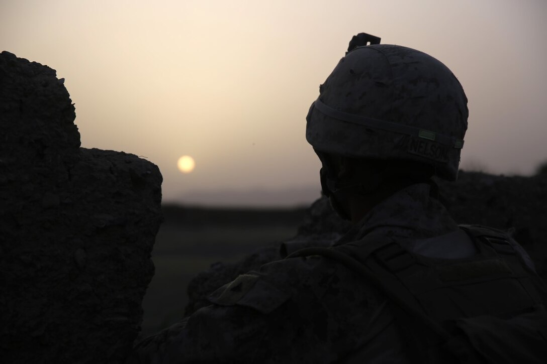 Lance Cpl. Gabriel Nelson, an assaultman with Bravo Company, 1st Battalion, 7th Marine Regiment, and a native of Thornton, Colorado, provides security from a patrol base during a mission in Helmand province, Afghanistan, June 6, 2014. The company conducted disruption operations in a known Taliban bed-down location for two days. During the previous mission May 29, the company discovered a drug production lab and removed more than one metric ton of narcotics from the battlefield.
(U.S. Marine Corps photo by Cpl. Joseph Scanlan / released)
