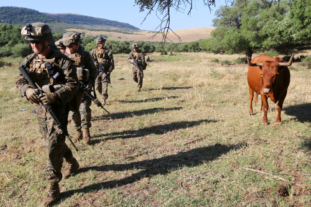 U.S. Marines with Special-Purpose Marine Air-Ground Task Force Crisis Response practice patrolling and movement techniques during a bilateral training event with Spanish Marines from 1st Marine Landing Battalion in Sierra del Retin, Spain, June 3, 2014 The training was conducted by the Spanish and American forces in an effort to demonstrate their commitment to military friendship, strategic partnership and regional and global security. (U.S. Marine Corps photo by Lance Cpl. Alexander Hill/Released)
