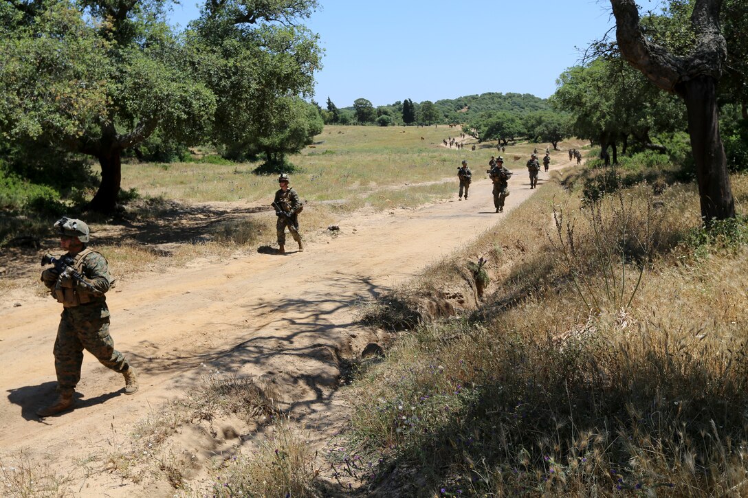 U.S. Marines with Special-Purpose Marine Air-Ground Task Force Crisis Response practice patrolling and movement techniques during a bilateral training event with Spanish Marines from 1st Marine Landing Battalion in Sierra del Retin, Spain, June 3, 2014. The training was conducted by the Spanish and American forces in an effort to demonstrate their commitment to military friendship, strategic partnership and regional and global security. (U.S. Marine Corps photo by Lance Cpl. Alexander Hill/Released)