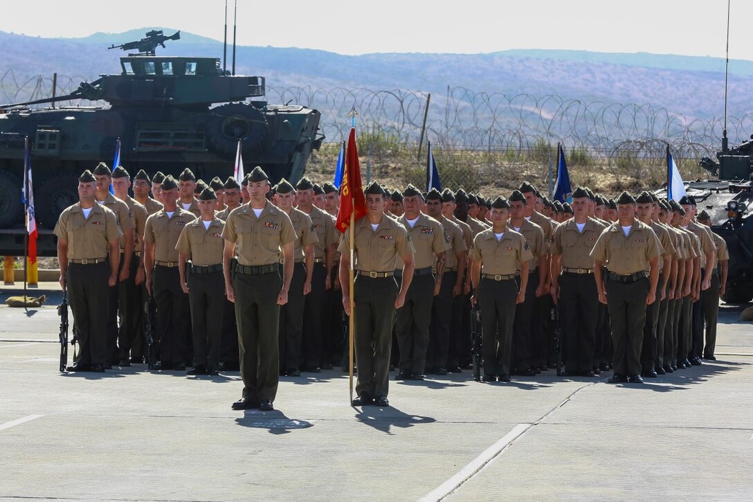 Marines with Company A, 1st Light Armored Reconnaissance Battalion, 1st Marine Division, I Marine Expeditionary Force, stand at attention during a change of command ceremony aboard Camp Pendleton, Calif., June 19, 2014. During the ceremony, Lt. Col. Gilbert D. Juarez relinquished command of the Highlanders to Lt. Col. Christian M. Rankin. (U.S. Marine Corps photo by Lance Cpl. Anna Albrecht)