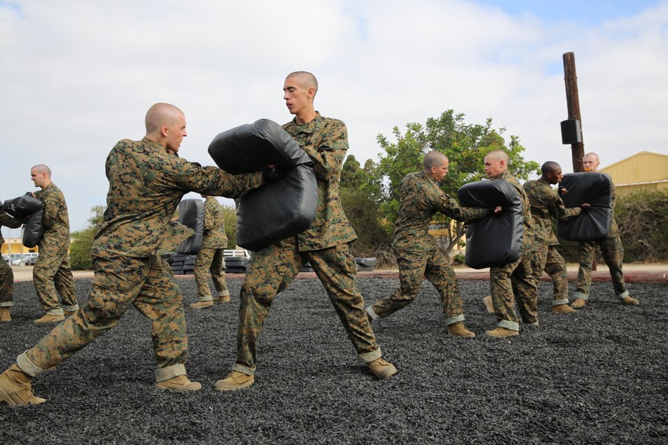 Recruits strike their way through MCMAP session > United States Marine ...