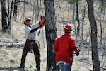 Wyoming Honor Conservation Camp Smokebusters Duane Cox (left) and Dustin Steele, clear debris left from past fires on property at the Camp Guernsey Joint Training Center, Wyo., April 10, 2012. The camp is working to clear potentially hazardous debris to allow for increased use of roadways and trails throughout the camp.