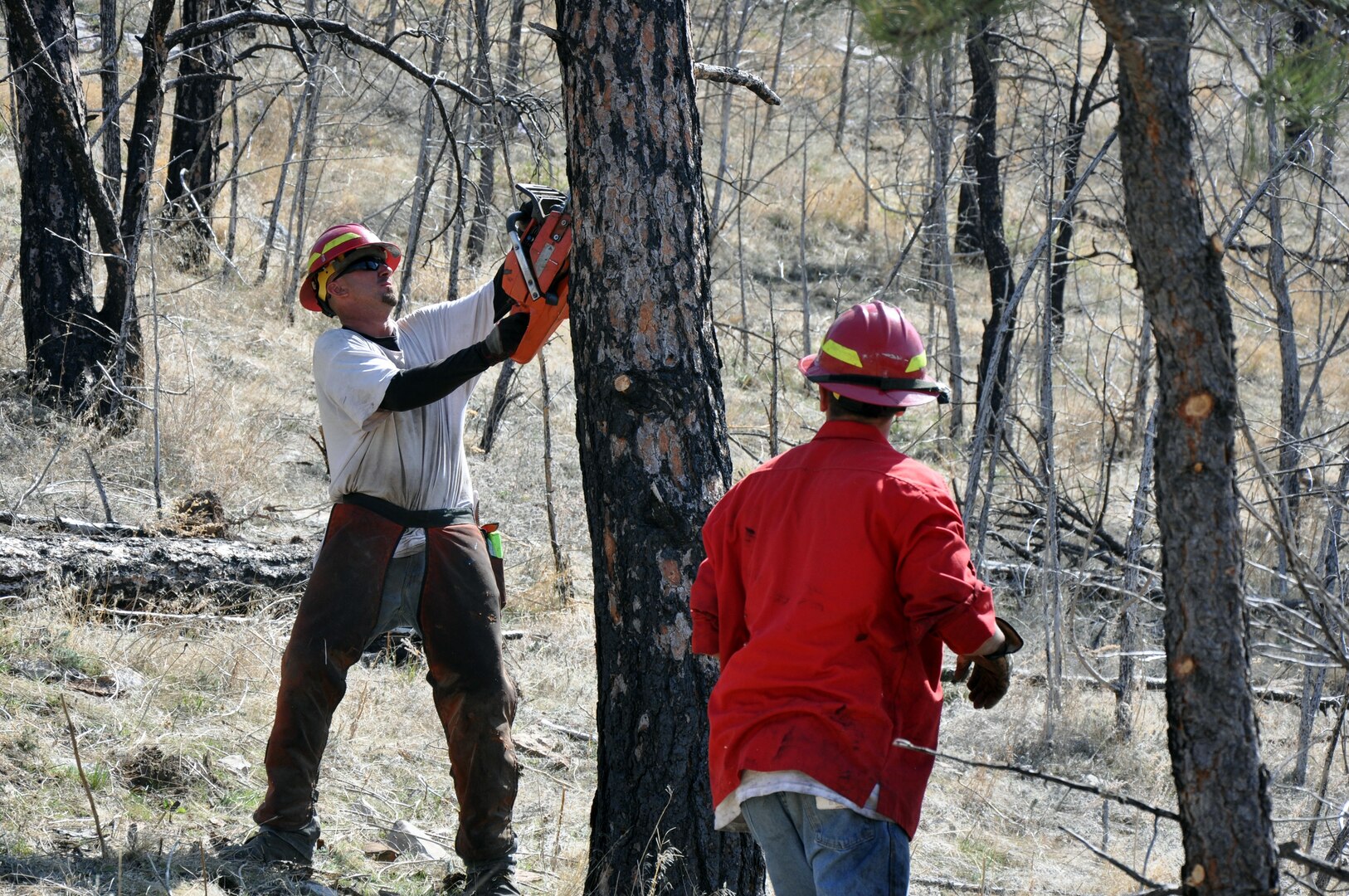 Wyoming Honor Conservation Camp Smokebusters Duane Cox (left) and Dustin Steele, clear debris left from past fires on property at the Camp Guernsey Joint Training Center, Wyo., April 10, 2012. The camp is working to clear potentially hazardous debris to allow for increased use of roadways and trails throughout the camp.