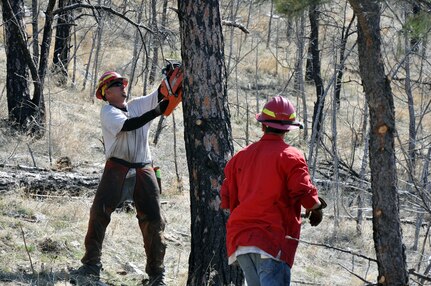 Wyoming Honor Conservation Camp Smokebusters Duane Cox (left) and Dustin Steele, clear debris left from past fires on property at the Camp Guernsey Joint Training Center, Wyo., April 10, 2012. The camp is working to clear potentially hazardous debris to allow for increased use of roadways and trails throughout the camp.