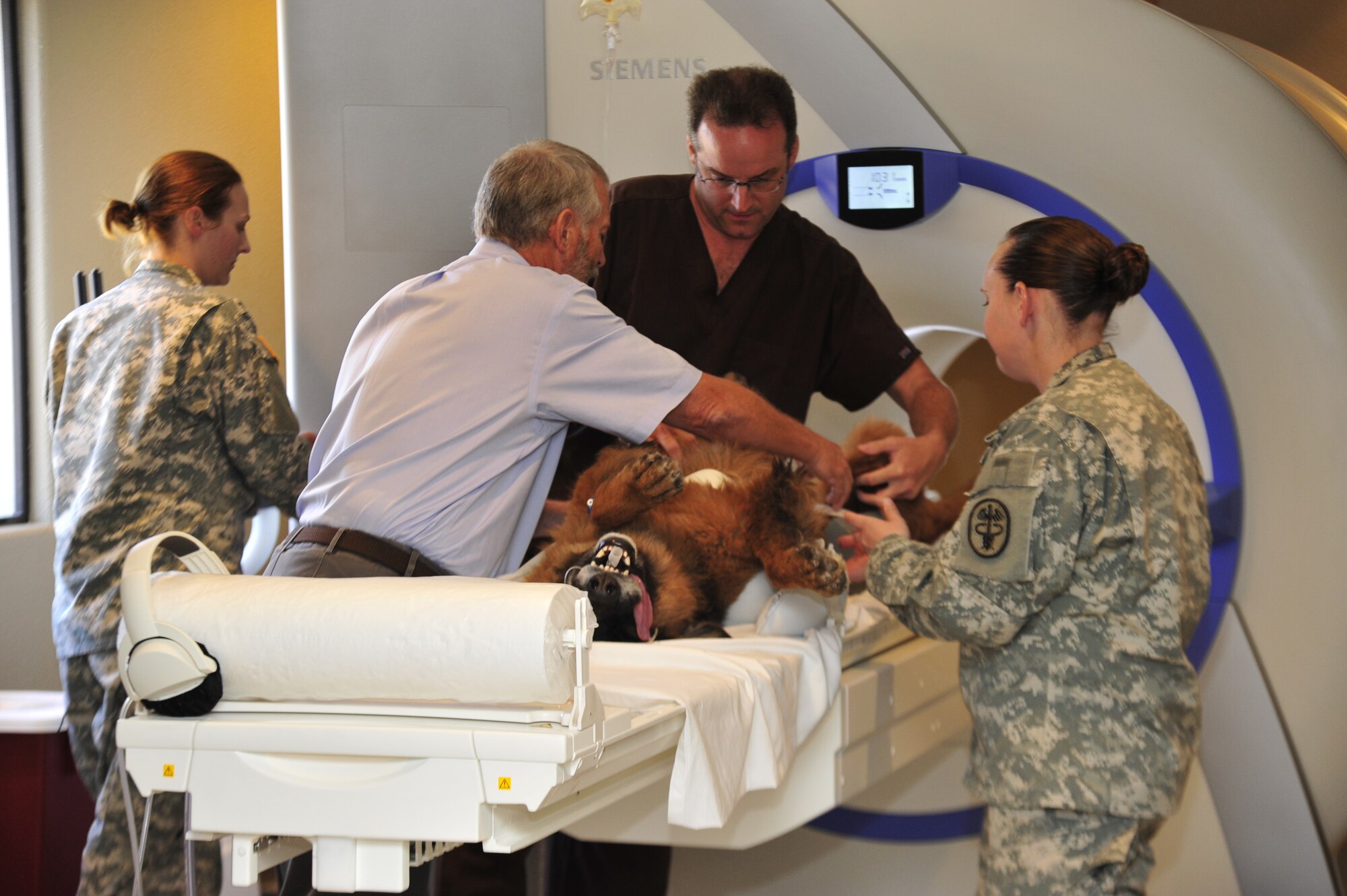 Dr. J.M. Kiel, Luke Air Force Base Veterinary Services veterinarian, and Hunter Davidson, 56th Medical Support Squadron magnetic resonance imaging technician, position Oersoes, Ajo Border Patrol Station working dog June 10 before putting him through the Siemens MRI machine. Oersoes and another working dog, Goliet, were sedated prior to going through the MRI machine. (U.S. Air Force photo/Senior Airman Grace Lee)