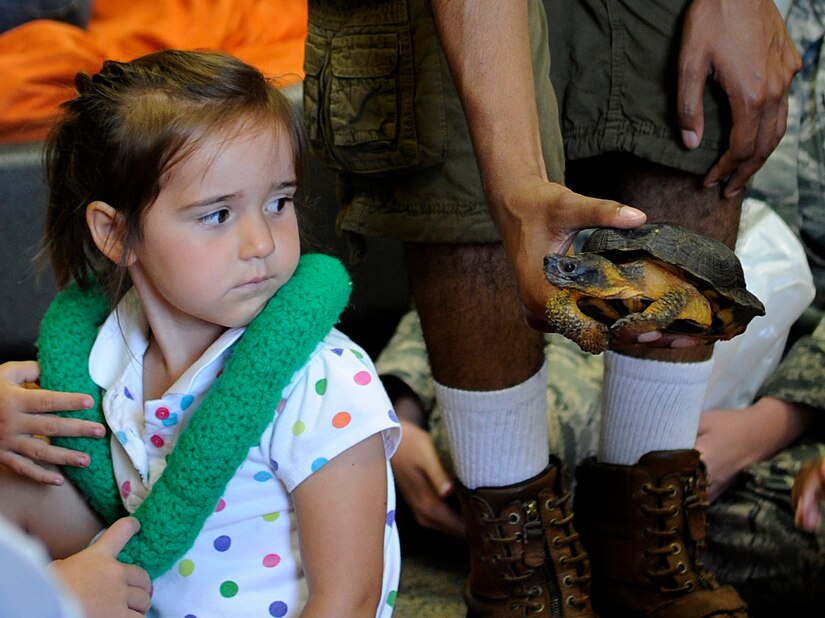 Bailey, daughter of Petty Officer 1st Class Joel Lamprich, Fleet Logistics Support Squadron 53, looks to pet a North American Wood Turtle at the library on Joint Base Andrews, Md., June 24, 2014.  Cosca Regional Park’s Clearwater Nature Center brought a variety of reptiles to educate JBA families on the animals’ behavior, habitat, and anatomy. (U.S. Air Force photo/Senior Airman Nesha Humes)