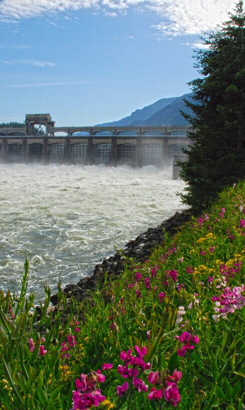Wildflowers in bloom near the spillway of the Bonneville Dam.