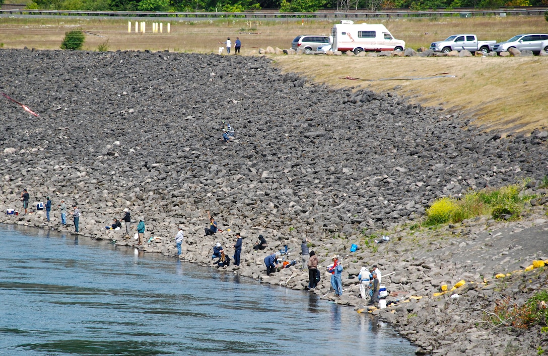 Fishing at the North Shore Recreation Area at Bonneville Lock and Dam; note the yellow painted boundary line on the right. No fishing is allowed in the area between this line and the dam.
