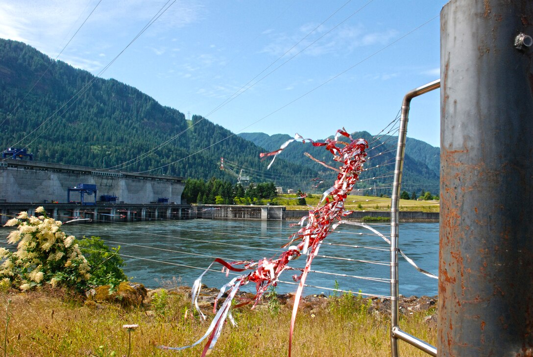 Cables stretched from this anchor point across the river to the dam are designed to stymie birds who would prey on the endangered fish near the dam. Reflective streamers adorn the cables to aid visibility.