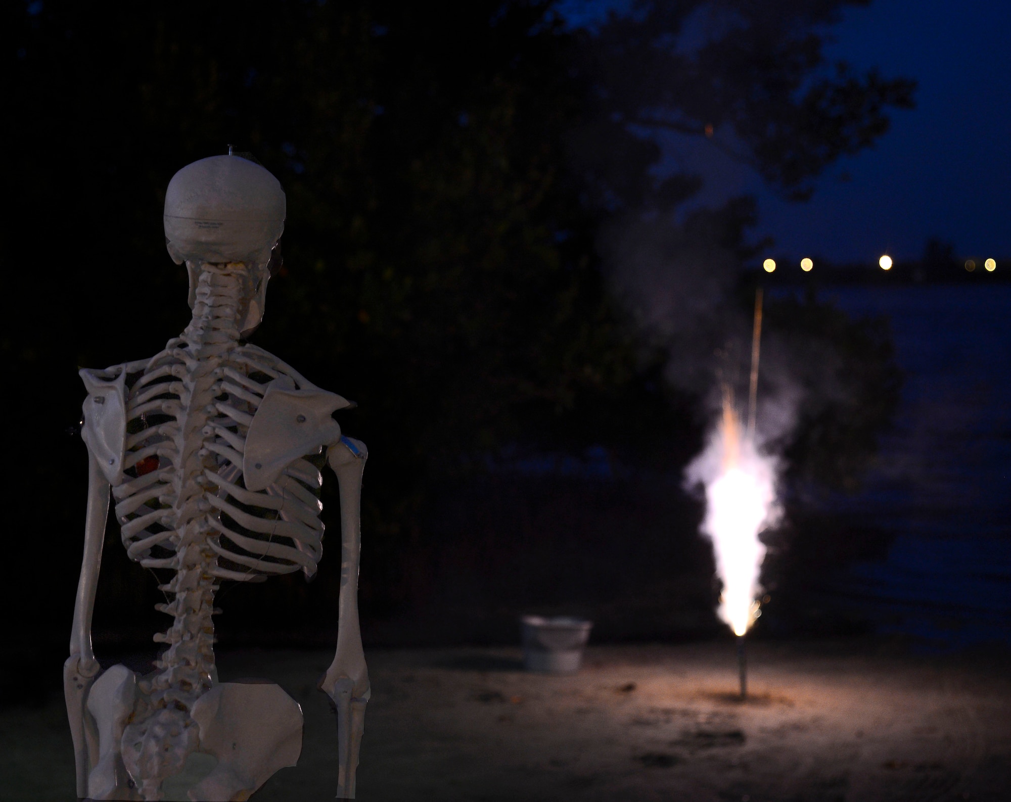 MacBones, 6th Air Mobility Wing safety skeleton, watches a firework from a safe distance at a beach in Tampa, Fla., June 17, 2014. Fireworks should only be lit on the ground and a bucket of water should be close by to put out fires. (U.S. Air Force photo by Airman 1st Class Tori Schultz/Released)