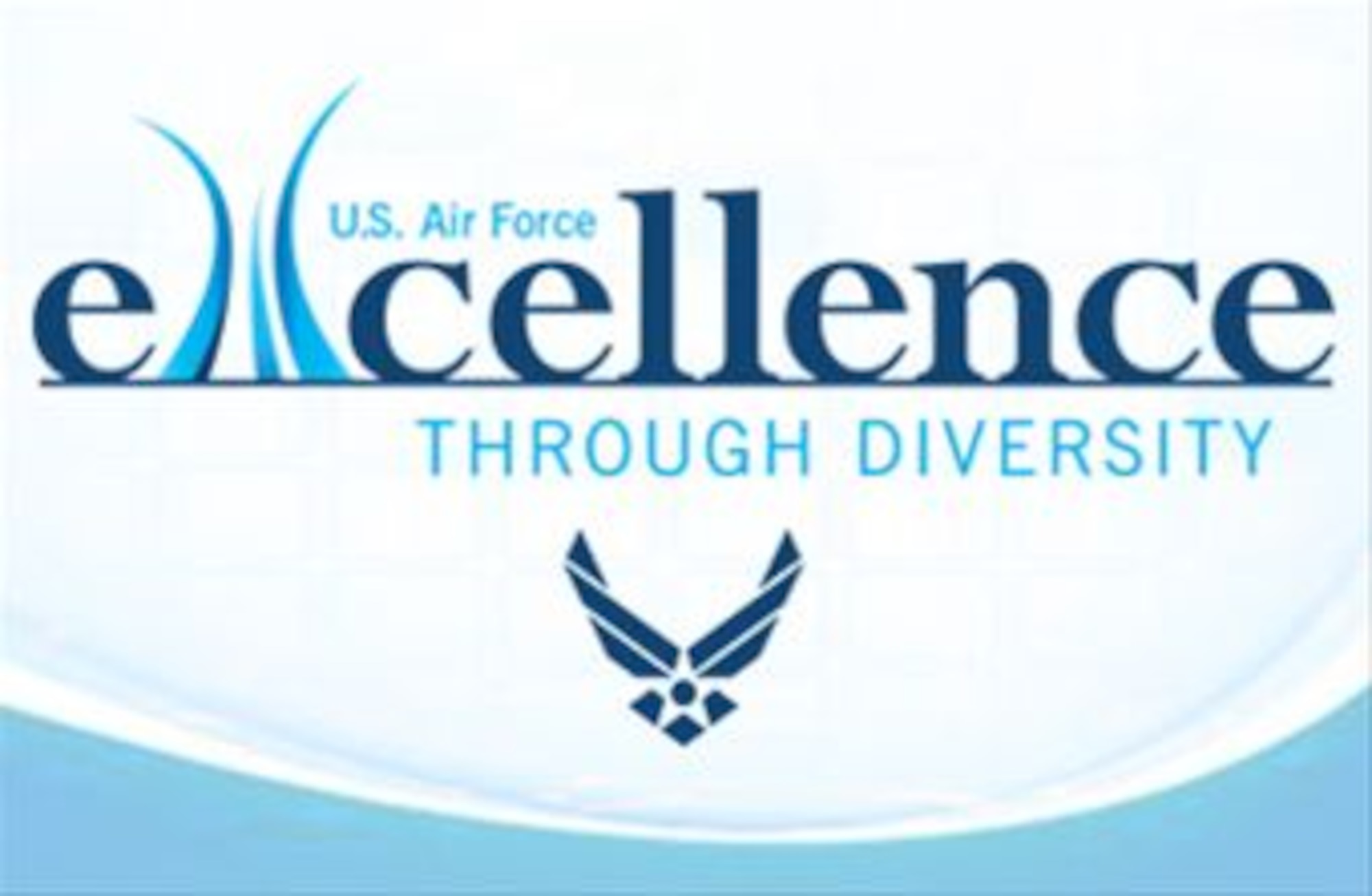 Excellence through diversity. (U.S. Air Force graphic)