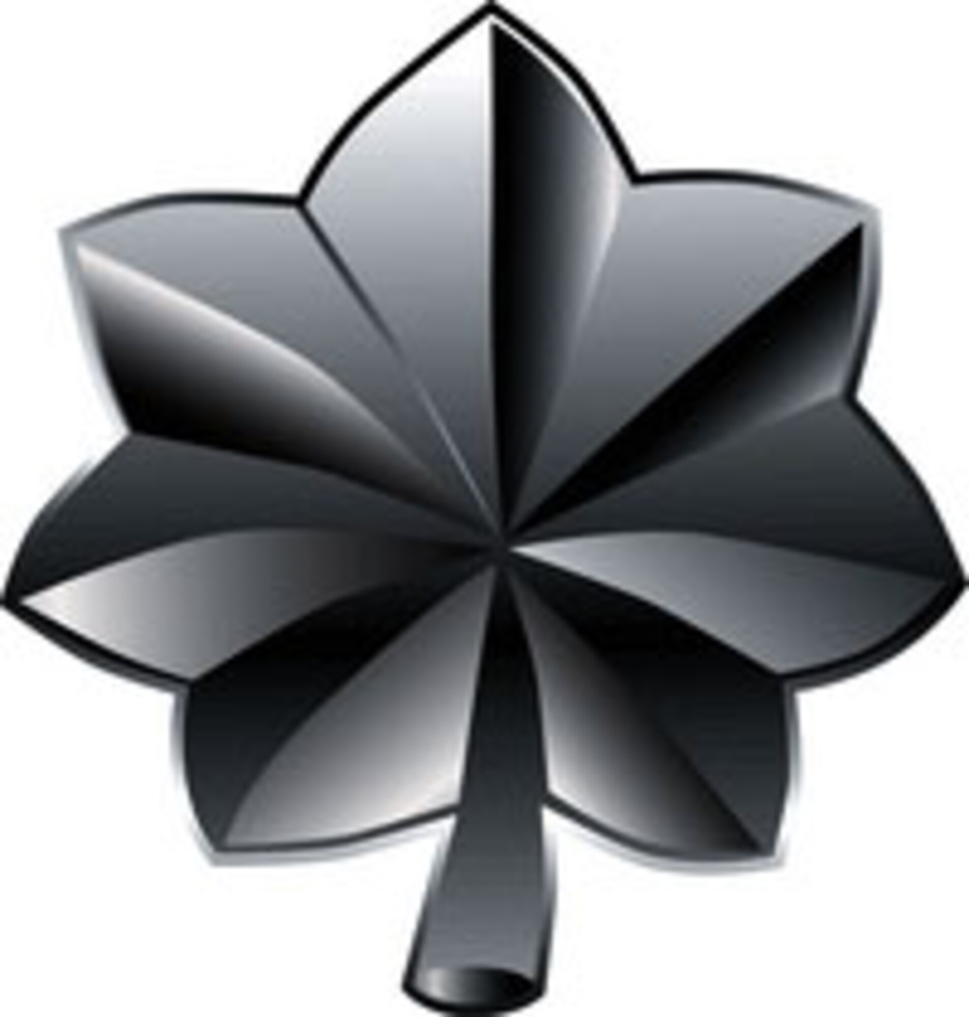 Congratulations to Maj. Shelly Frank, 482nd Fighter Wing active duty staff judge advocate, recently selected for promotion to Lieutenant Colonel.  (U.S. Air Force graphic)