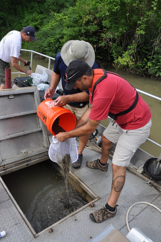 Corps of Engineers team members have been sampling for hydrilla tubers this week, preparing for the initial spraying of the plant in late July, June 26, 2014.

The U.S. Army Corps of Engineers, Buffalo District, in cooperation with the U.S. Army Engineer Research and Development Center, is serving as the lead agency for an eradication demonstration project for control of the invasive plant in the Erie Canal and Tonawanda Creek. Eradication is particularly important given the economic and ecological value of the waterway and risk of spread to multiple water bodies throughout New York and the Great Lakes.
