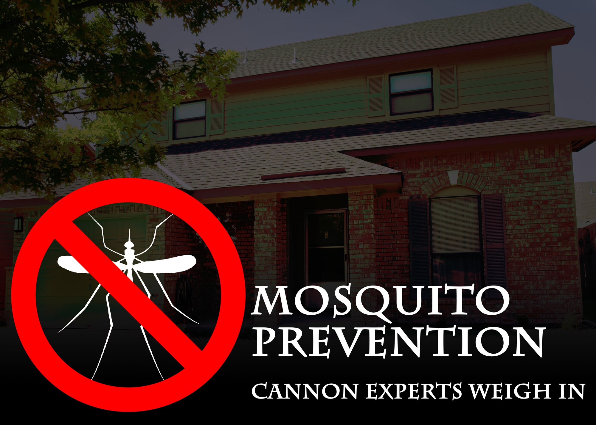 (U.S. Air Force graphic/Airman 1st Class Shelby Kay-Fantozzi)