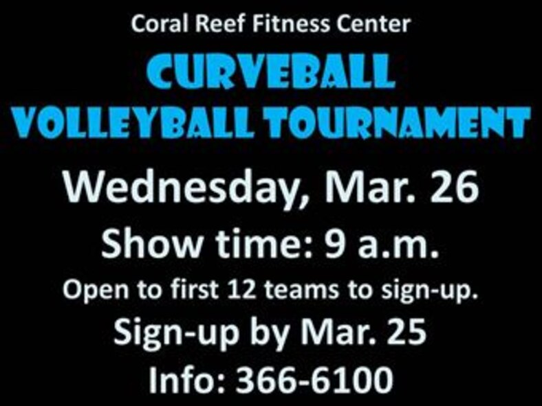 140303 Cuveball Volleyball