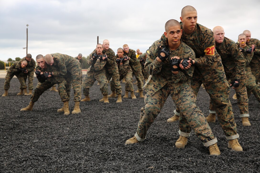 Recruits practice a counter-to-the-choke on their partners during a Marine Corps Martial Arts Program training session.  Recruits practiced the techniques inside a rubber pit, allowing them to throw their partner or fall down without fear of being hurt.