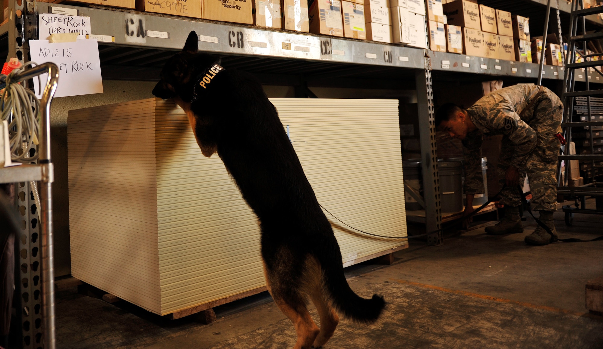 U.S. Air Force Staff Sgt. Alex Inn, 18th Security Forces Squadron military working dog handler, and Bosco, a military working dog, search for hidden hazardous materials during detection training on Kadena Air Base, Japan, Feb. 26, 2014. The MWD handlers conduct daily training to give them exercise and keep them proficient in basic skills. The MWD handlers work side-by-side with their dogs to provide base security, which includes searching vehicles and buildings for illegal substances and contraband. (U.S. Air Force photo by Naoto Anazawa)