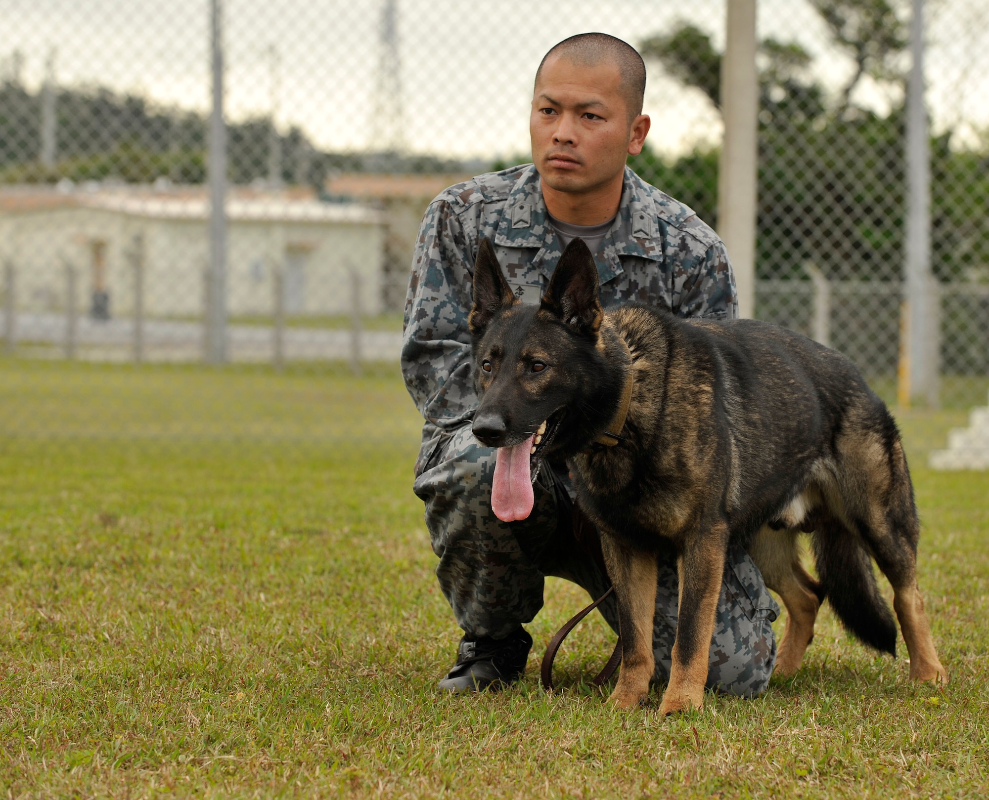 Japan Air Self-Defense Force Staff Sgt. Ryota Chinen, military working dog handler, and Marco, a JASDF Military Working Dog, prepare for the next scenario during joint MWD training at the 18th Security Forces Squadron kennels on Kadena Air Base, Japan, Feb. 26, 2014. JASDF MWD handlers previously trained with Kadena's MWDs and were able to bring their own MWDs for this opportunity. (U.S. Air Force photo by Naoto Anazawa) 