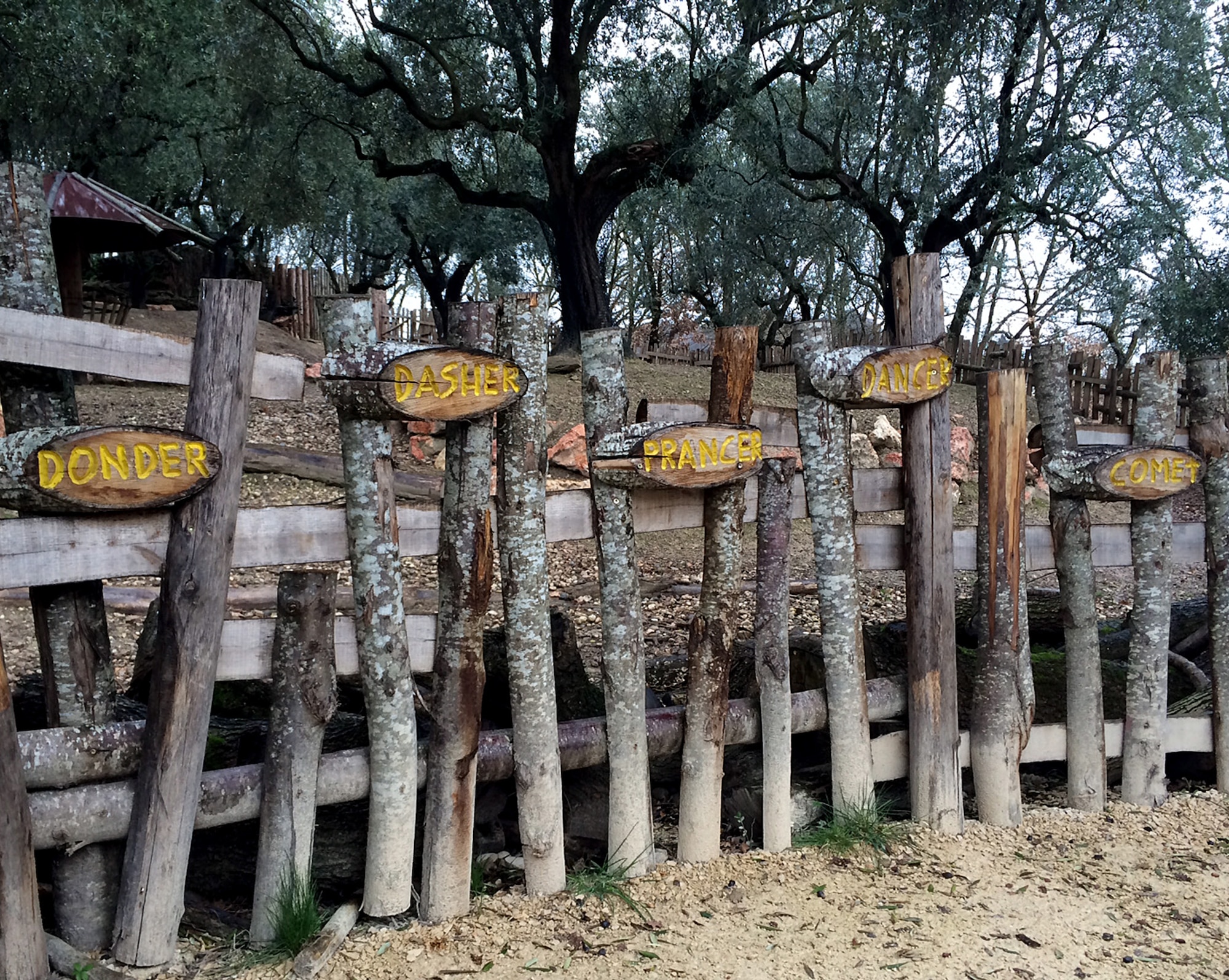 Santa Claus’ reindeer have their own exhibit at Parco Natura Viva in Pastrengo, Italy. Inside, visitors can find lions, cheetahs, lemurs, chimpanzees, meerkats, tortoises, macaws, monkeys, flamingos, bison, owls, deer, tigers, storks, pelicans, and many other animals. (U.S. Air Force photo/Staff Sgt. R.J. Biermann)