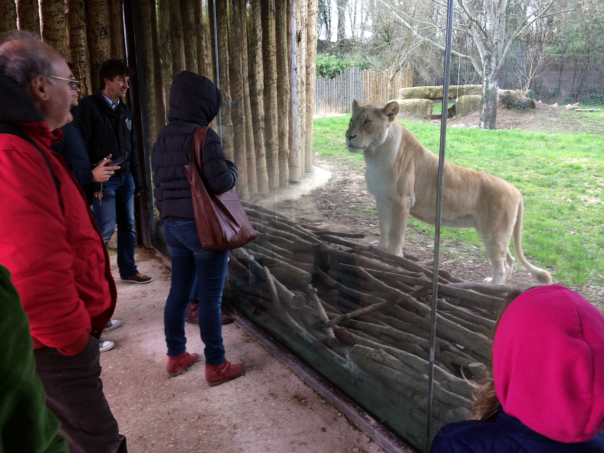 costo biglietto zoo safari pastrengo