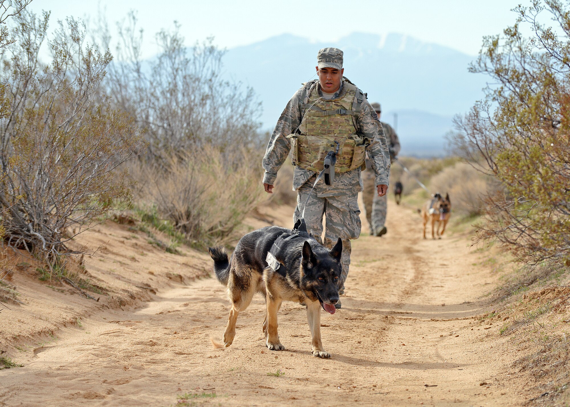 Staff Sgt. Manuel Rodriguez, 412th Security Forces Squadron military working dog handler, and Schmykel, 412th SFS military working dog, were one of many 412th SFS members who took part in their squadron’s Ruck March to honor all fallen Defenders who have served on Mar. 4. The ruck march took participants through 11.5 miles of steep and rocky, desert terrain that began at the Combat Arms Training and Maintenance building and ended atop the mountain with the communications tower near the edge of Rosamond, Calif. and perpendicular to the west Edwards AFB sign. (U.S. Air Force photo by Jet Fabara)