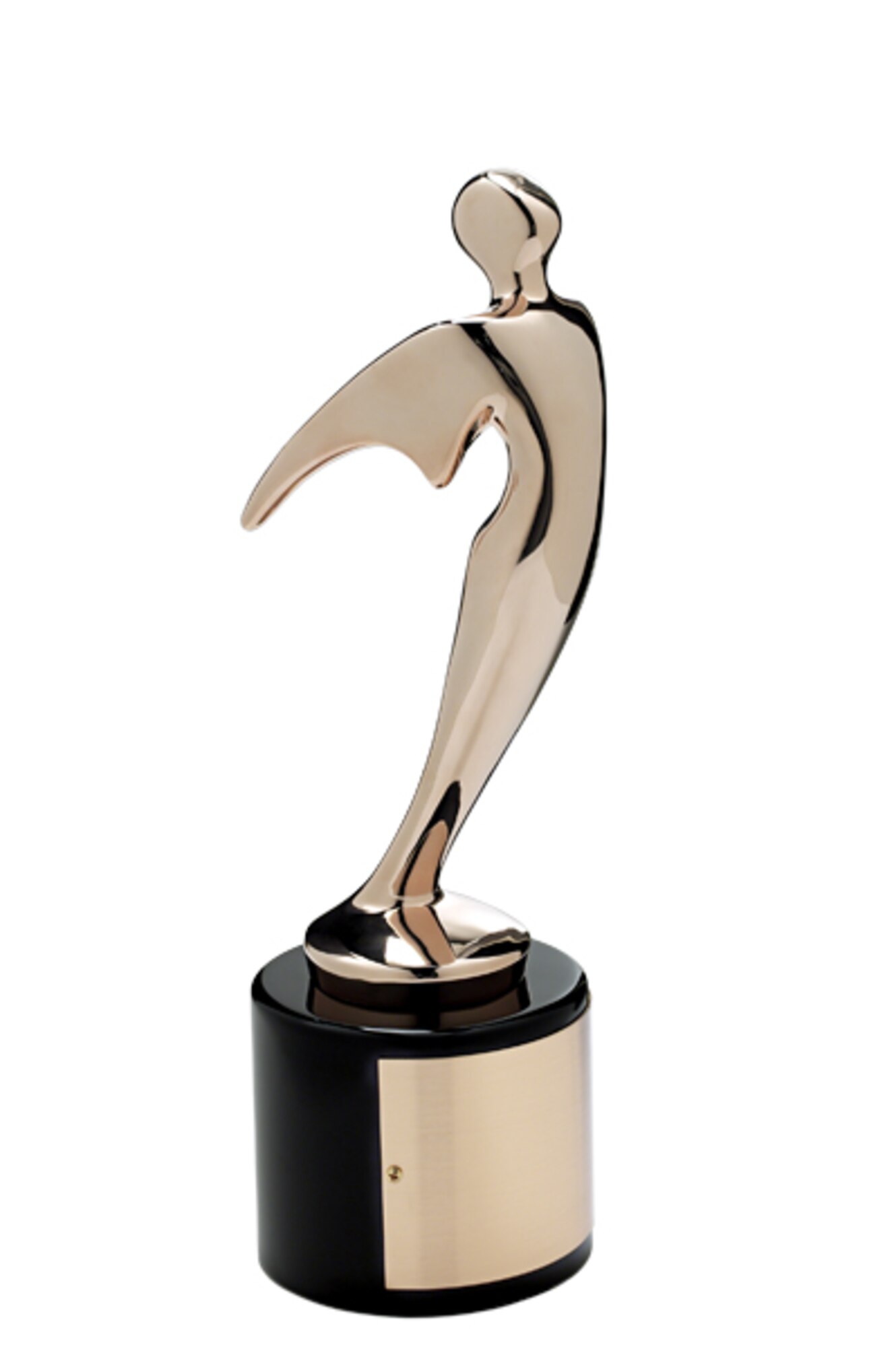 The Air Force Center of Excellence for Medical Multimedia (CEMM) was the recipient of a Bronze Telly award for their Pregnancy A to Z and Wingman Online websites during the 35th Annual Telly Awards recently. (Courtesy Photo)