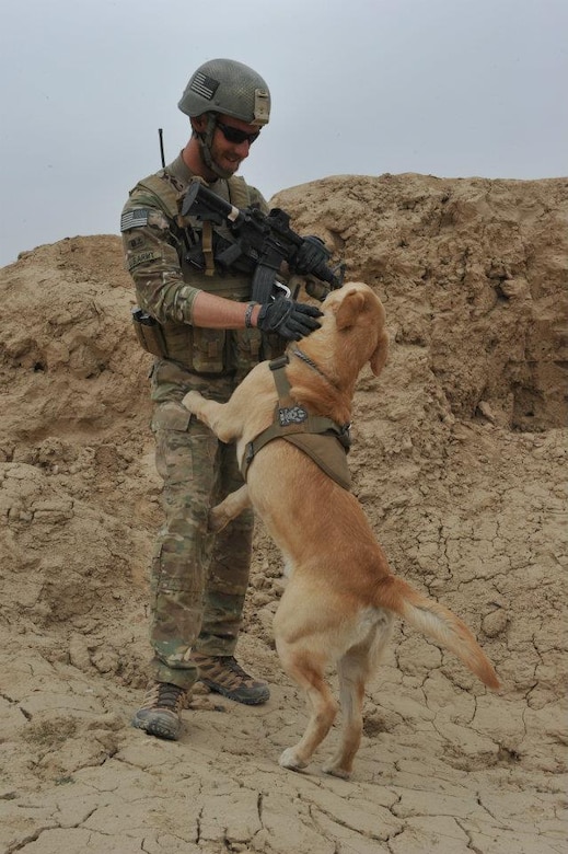 U.S. Army Sgt. John Nolan, former  U.S. Army senior specialized-search dog handler previously assigned to the 3rd Military Police Detachment at Fort Eustis, Va., rewards Honza, a 7-year-old SSD, after Honza discovered an improvised explosive device while on patrol in Afghanistan. Nolan said Honza saved his life on more than one occasion while the two were deployed to Afghanistan, and it was only right to try to adopt Honza so they could continue to be partners after he separated from the Army. Nolan is a native of Wilkes-Barre, Pa.  (Courtesy photo/Released)