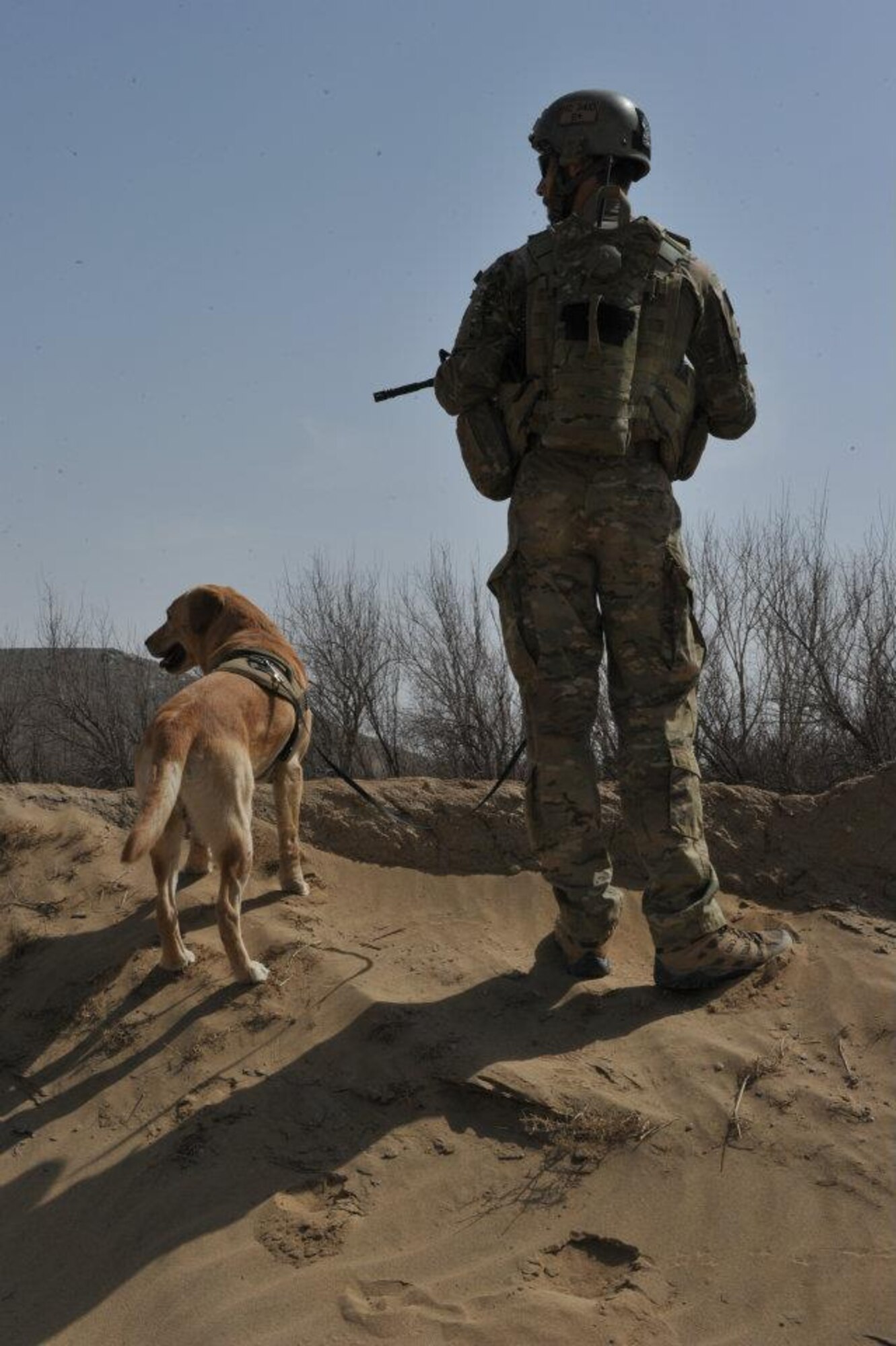 U.S. Army Sgt. John Nolan, former U.S. Army senior specialized-search dog handler previously assigned to the 3rd Military Police Detachment at Fort Eustis, Va., and Honza, a 7-year-old SSD, conduct a security patrol while on a yearlong deployment to Afghanistan. Nolan said Honza saved his life on more than one occasion while the two were deployed to Afghanistan, and it was only right to try to adopt Honza so they could continue to be partners after he separated from the Army. Nolan is a native of Wilkes-Barre, Pa. (Courtesy photo/Released)