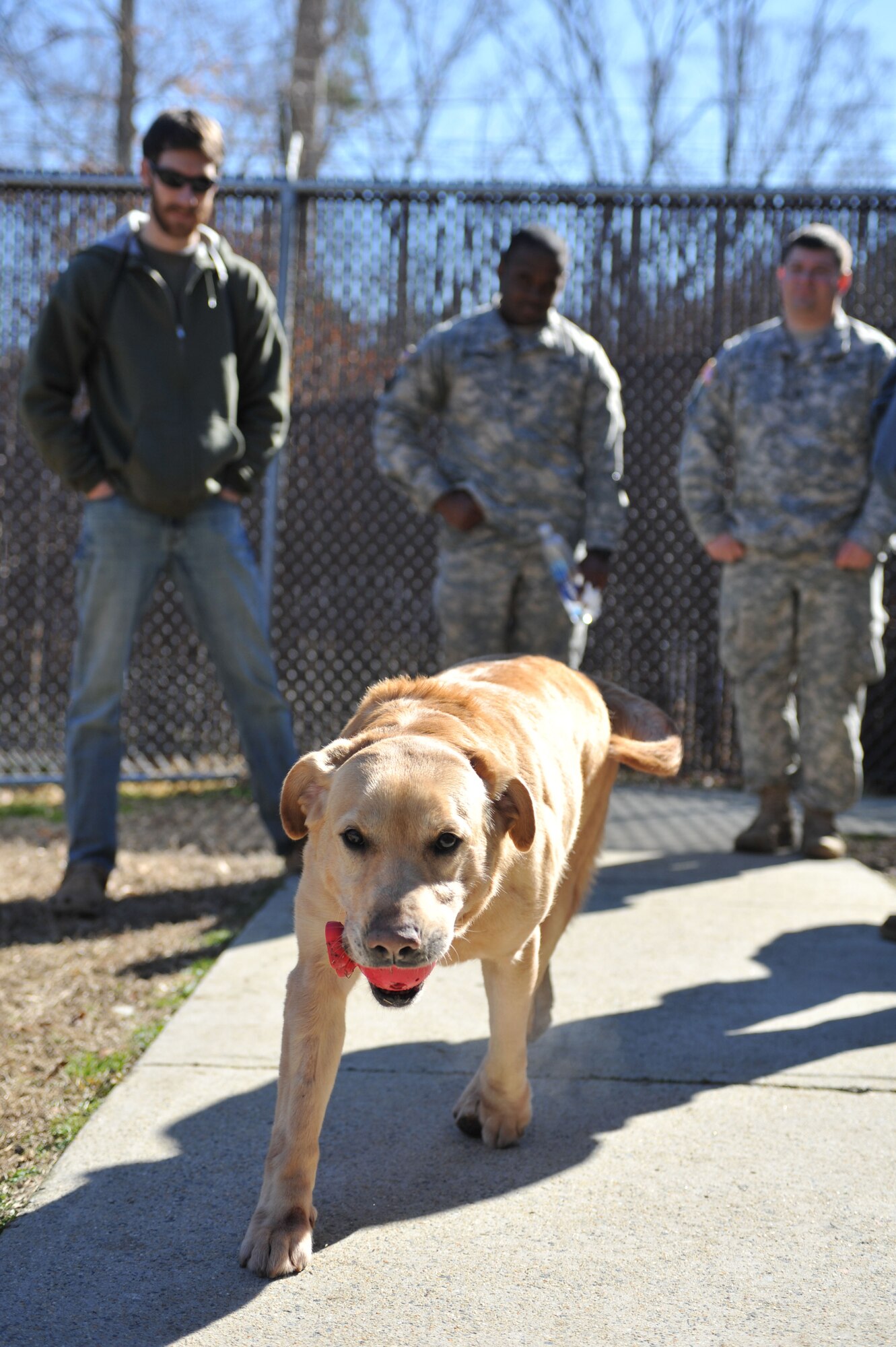 From left, U.S. Army Sgt. John Nolan, former senior specialized-search dog handler previously assigned to the 3rd Military Police Detachment, Sgt. Clevaun Fluellen, 3rd MP Det. dog handler, and Staff Sgt. Jeffrey Michaud, 3rd MP Det. kennel master, look on as Honza, a 7-year-old SSD, plays outside after being reunited with his handler, Nolan, at Fort Eustis, Va., Feb. 28, 2014. Nolan and Honza have been partners since January 2011, and are now able to maintain that bond through adoption as both separate from military service. (U.S. Air Force photo by Staff Sgt. Katie Gar Ward/Released)