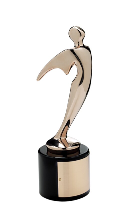 The Air Force Center of Excellence for Medical Multimedia, or CEMM, recieved a Bronze Telly award for their Pregnancy A to Z and Wingman Online websites during the 35th Annual Telly Awards recently. (Courtesy photo)
 