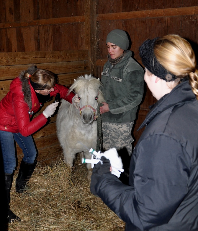 Spc. Anna Bowie, 422nd Medical Detachment Veterinary Services animal care specialist, assists Jennifer Platt, a volunteer veterinarian, as she examines ‘Snowflake’ and prepares the miniature horse for a series of vaccines. The hands-on training with the livestock is part of the 78th Training Division’s Combat Support Training Exercise and involves soldiers offering assistance, veterinarian care and supplies to a ranch in a simulated deployed location. (U.S. Air Force Photo by 2nd Lt. Carrie Volpe/Released)