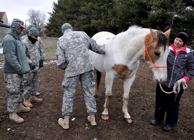 Soldiers from the 424 Multi-functional Medical Battalion and 422 Medical Detachment Veterinarian Services gather around 1st Lt. Thomas Banner, 424 MMB health administrative assistant and experienced horseman, as he instructs them on how to handle large livestock Feb. 27 at Forgotten Angels Equine Rescue in Medford, N.J. The scenario training was part of the 78th Training Division’s Combat Support Training Exercise and involved soldiers offering assistance, veterinarian care and supplies to a ranch in a simulated deployed location. (U.S. Air Force Photo by 2nd Lt. Carrie Volpe/Released)