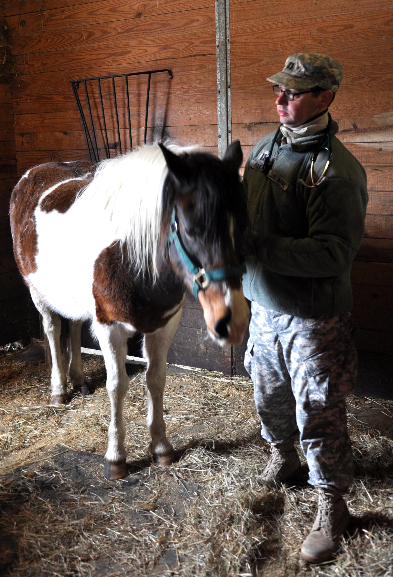 Capt. John Polk, 422nd Medical Detachment Veterinarian Services company commander and veterinarian, prepares a rescue horse to receive de-wormer and vaccinations Feb. 27 at Forgotten Angels Equine Rescue in Medford, N.J. Soldiers offered health exams and donated vaccines and deworming medicine during ‘Operation Mr. Ed’, a training scenario that was part of the 78th Training Division’s Combat Support Training Exercise. The equine sanctuary was used to simulate a ranch in a simulated deployed location and allowed Soldiers to practice handling large livestock. (U.S. Air Force Photo by 2nd Lt. Carrie Volpe/Released)