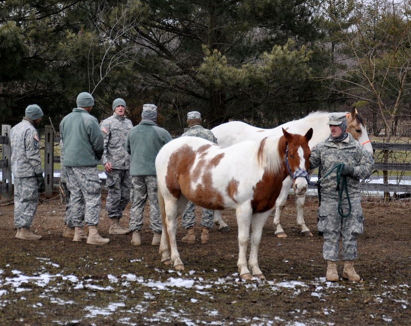 Soldiers from the 424 Multi-functional Medical Battalion and 422 Medical Detachment Veterinarian Service gather around 1st Lt. Thomas Banner, 424 MMB health administrative assistant and experienced horseman, as he instructs them on how to handle large livestock Feb. 27 at Forgotten Angels Equine Rescue in Medford, N.J. The scenario training was part of the 78th Training Division’s Combat Support Training Exercise and involved soldiers offering assistance, veterinarian care and supplies to a ranch in a simulated deployed location. (U.S. Air Force Photo by 2nd Lt. Carrie Volpe/Released)