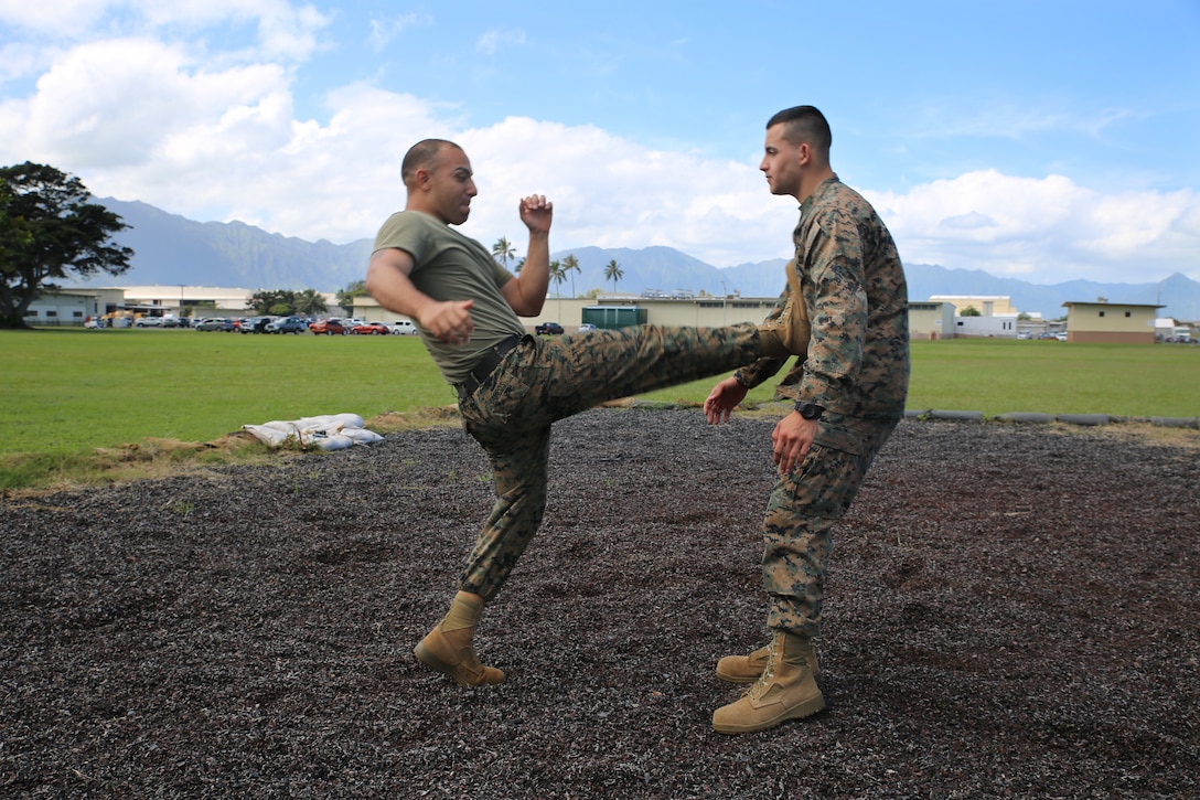 Sgt. Rey Campos, a platoon sergeant with the distribution management office and a Marine Corps Martial Arts Program instructor, performs a MCMAP kick on Lance Cpl. Santiago Cruz, a distribution management clerk, March 5, 2014. The Martial Arts Instructor Course 3-14, which certifies Marines and sailors as martial arts instructors, is scheduled to run from March 24 through April 11. (U.S. Marine Corps photo by Lance Cpl. Suzanna Knotts)