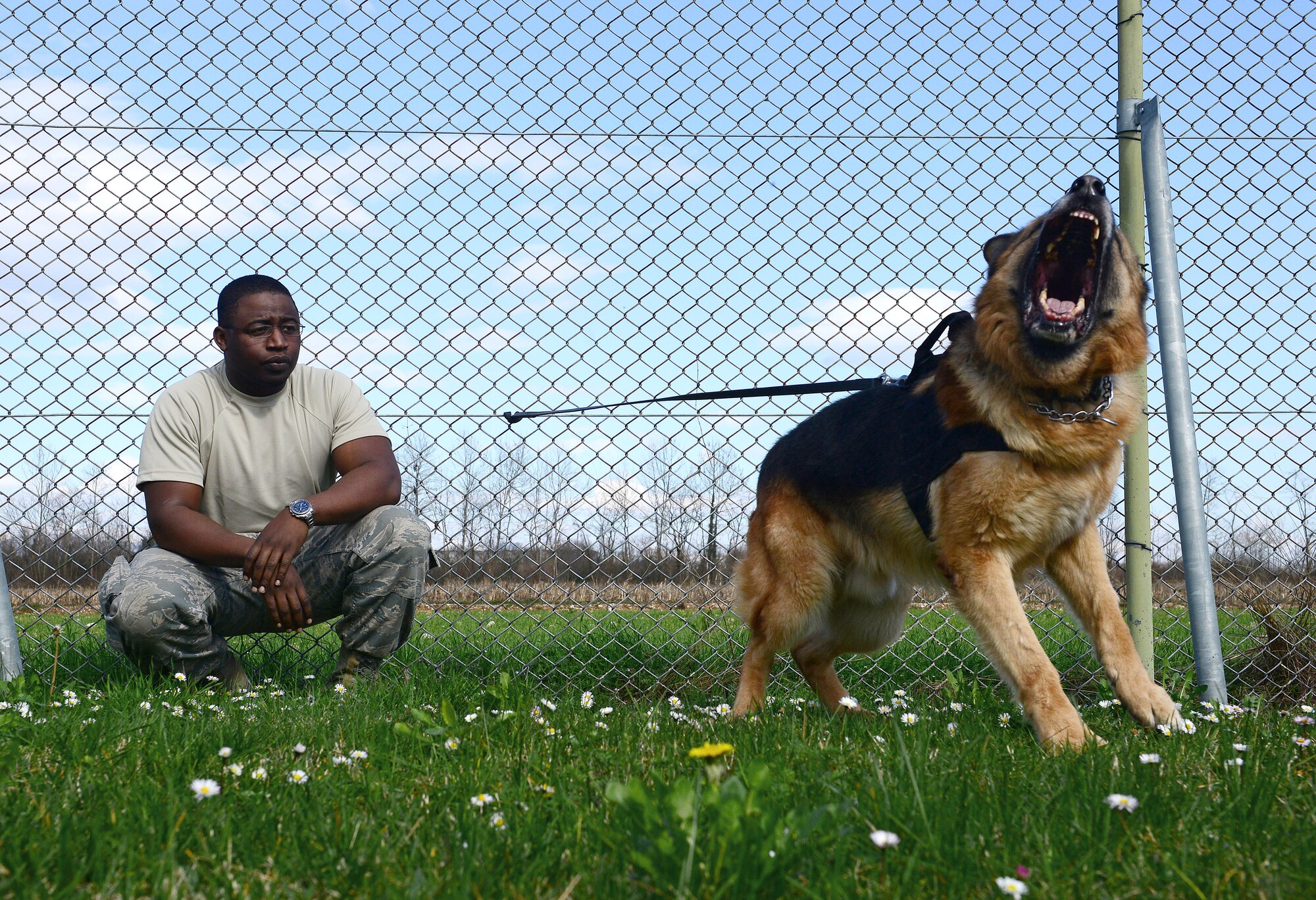 Staff Sgt. Rodreques Boyd evaluates his military working dog, Nado, on civil aggression, March 6, 2014, at Aviano Air Base, Italy. All Airmen, including those with four legs and a tail, must be able to protect against hostile forces, conduct investigations and apprehend and detain suspects. Boyd and Nado are a part of the 31st Security Forces Squadron as a military working dog team. (U.S. Air Force photo/Senior Airman Matthew Lotz)