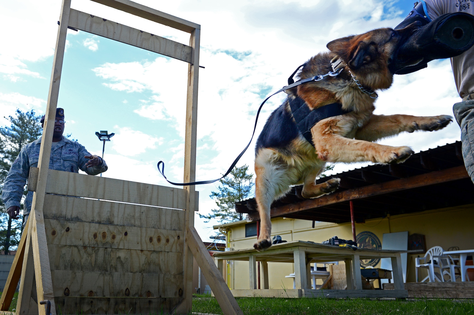 Staff Sgt. Rodreques Boyd releases his military working dog, Nado, during training, March 6, 2014, at Aviano Air Base, Italy. As a MWD team, they are charged with providing vital support to ensuring the security of the base. Boyd and Nado are a part of the 31st Security Forces Squadron military working dog unit. (U.S. Air Force photo/Senior Airman Matthew Lotz)