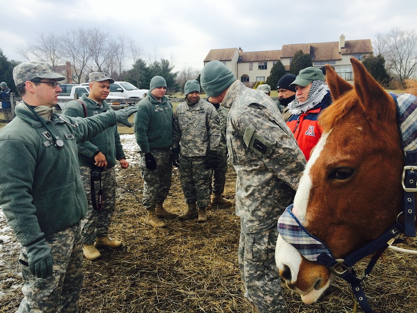 Soldiers from the 424th Multi-functional Medical Battalion and 422nd Medical Detachment Veterinary Services receive instruction from Capt. John Polk (left), 422nd MDVS company commander and veterinarian, as they prepare for a lesson in basic horse-handling Feb. 27, 2014, at Forgotten Angels Equine Rescue in Medford, N.J. In addition to the hands-on training, Soldiers offered health exams and donated vaccines and deworming medicine during ‘Operation Mr. Ed’, a training scenario that was part of the 78th Training Division’s Combat Support Training Exercise. The equine sanctuary was used to simulate a ranch in a simulated deployed location and allowed Soldiers to practice handling large livestock. (U.S. Air Force Photo by 2nd Lt. Carrie Volpe/Released)