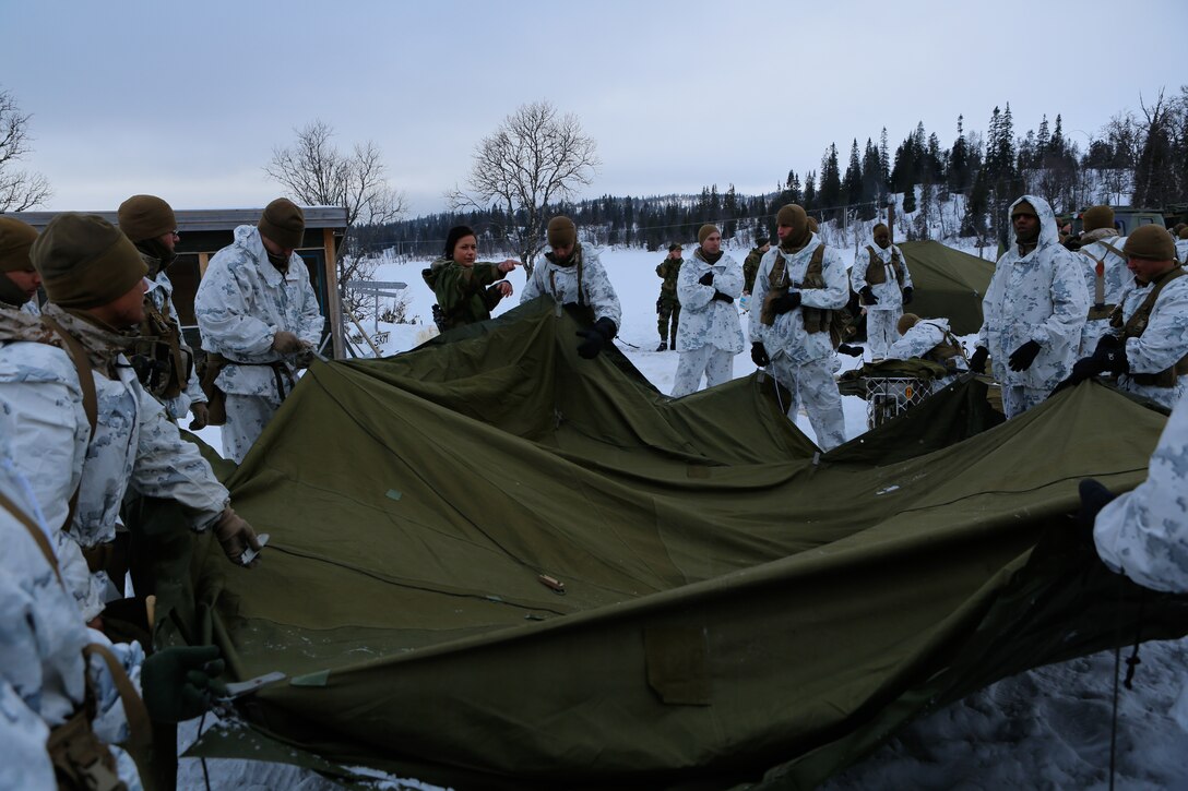 U.S. Marines with Company G, 2nd Battalion, 2nd Marine Regiment, 2nd Marine Division learn how to set up ten-man tents from the Norwegian Army Host Nation Support Battalion during a short field exercise, March 3, 2014. The Marines and Norwegian soldiers spent three days learning to work together and how to operate in the Norwegian winter environment to prepare the Marines and soldiers for Exercise Cold Response, which is a multinational and multilateral training exercise. The exercise will feature various types of military training including maritime, land and air operations. The location, above the Arctic Circle in northern Norway, provides a unique cold-weather environment for all forces involved to learn and develop procedures from one another.