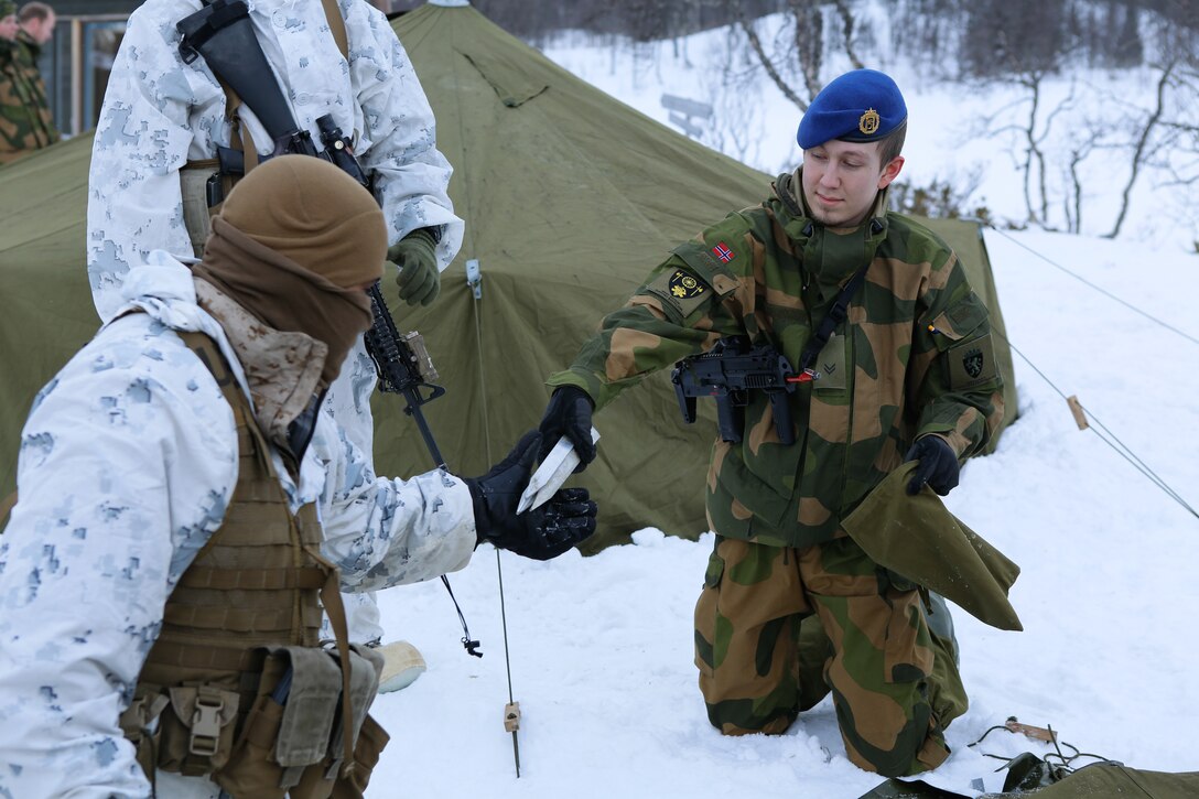 U.S. Marines with Company G, 2nd Battalion, 2nd Marine Regiment, 2nd Marine Division learn how to set up ten-man tents from the Norwegian Army Host Nation Support Battalion during a short field exercise, March 3, 2014. The Marines and Norwegian soldiers spent three days learning to work together and how to operate in the Norwegian winter environment to prepare the Marines and soldiers for Exercise Cold Response, which is a multinational and multilateral training exercise. The exercise will feature various types of military training including maritime, land and air operations. The location, above the Arctic Circle in northern Norway, provides a unique cold-weather environment for all forces involved to learn and develop procedures from one another.
