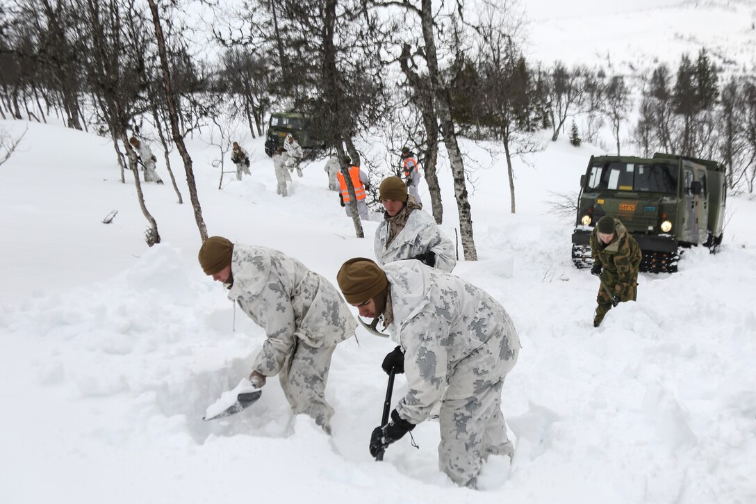 U.S. Marines with Company G, 2nd Battalion, 2nd Marine Regiment, 2nd Marine Division dig a path for a Bandvagn 206 to move through the snow. Marines and Norwegian soldiers spent three days learning to work together and how to operate in the Norwegian winter environment to prepare the Marines and soldiers for Exercise Cold Response, which is a multinational and multilateral training exercise. The exercise will feature various types of military training including maritime, land and air operations. The location, above the Arctic Circle in northern Norway, provides a unique cold-weather environment for all forces involved to learn and develop procedures from one another.