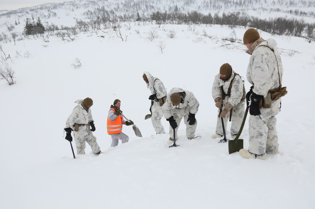 U.S. Marines with Company G, 2nd Battalion, 2nd Marine Regiment, 2nd Marine Division learn how to make a track for a Bandvagn 206 drive down difficult terrain. Marines and Norwegian soldiers spent three days learning to work together and how to operate in the Norwegian winter environment to prepare the Marines and soldiers for Exercise Cold Response, which is a multinational and multilateral training exercise. The exercise will feature various types of military training including maritime, land and air operations. The location, above the Arctic Circle in northern Norway, provides a unique cold-weather environment for all forces involved to learn and develop procedures from one another.