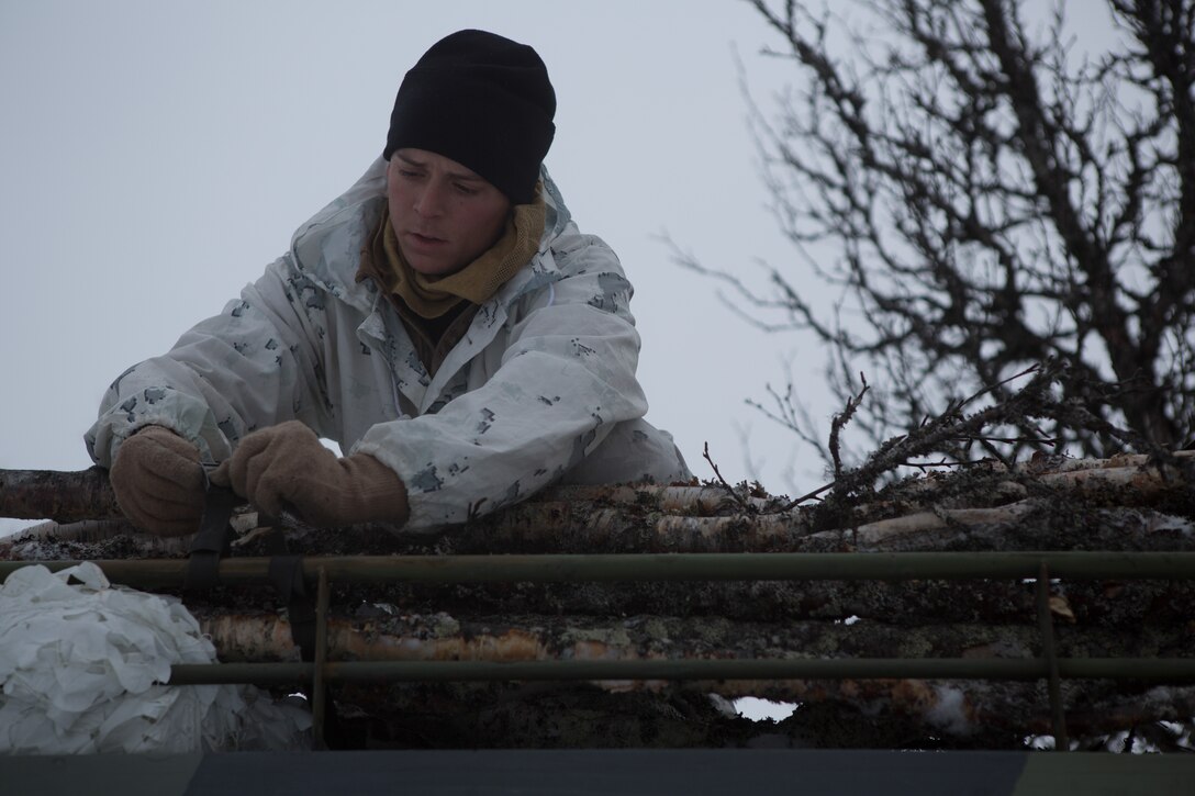 A Marine with Company G, 2nd Battalion, 2nd Marine Regiment, 2nd Marine Division secures cut down tree tunks to a Bandvagn 206 to use for traction if the vehicle gets stuck. Marines and Norwegian soldiers spent three days learning to work together and how to operate in the Norwegian winter environment to prepare the Marines and soldiers for Exercise Cold Response, which is a multinational and multilateral training exercise. The exercise will feature various types of military training including maritime, land and air operations. The location, above the Arctic Circle in northern Norway, provides a unique cold-weather environment for all forces involved to learn and develop procedures from one another.