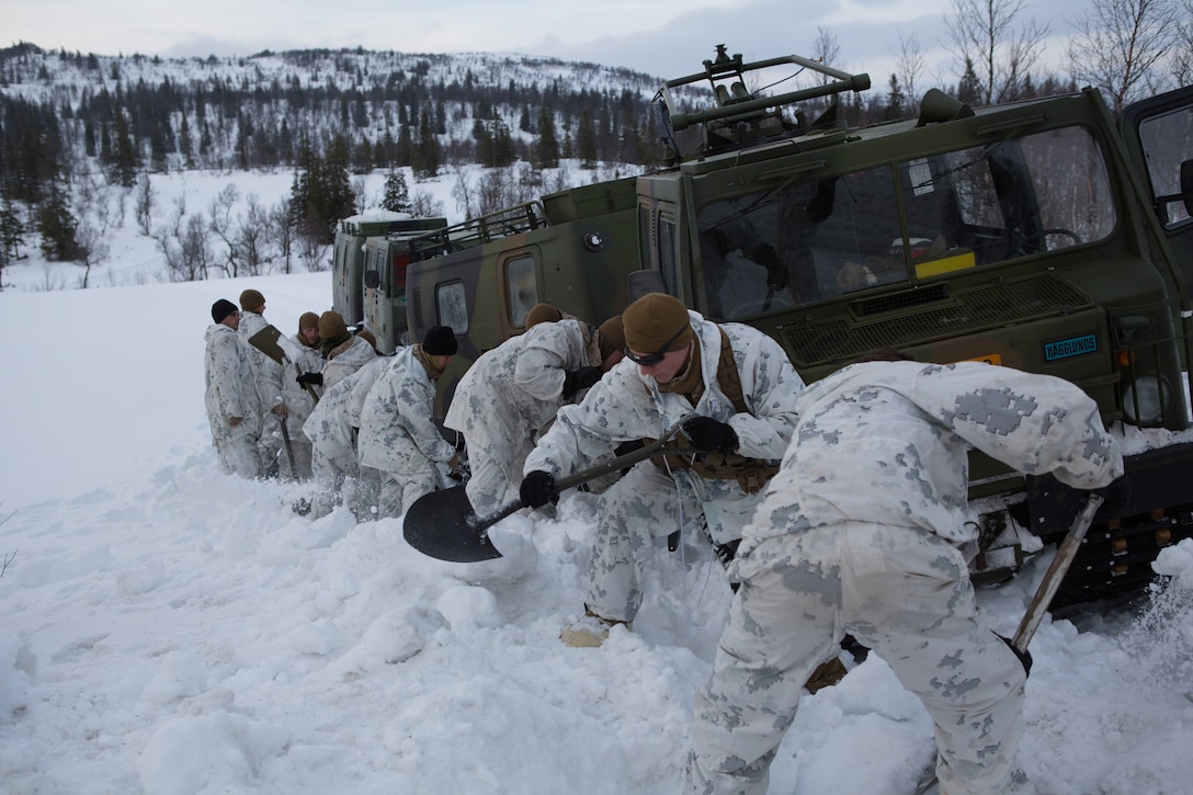 U.S. Marines with Company G, 2nd Battalion, 2nd Marine Regiment, 2nd Marine Division dig a path for a Bandvagn 206 to move through the snow. Marines and Norwegian soldiers spent three days learning to work together and how to operate in the Norwegian winter environment to prepare the Marines and soldiers for Exercise Cold Response, which is a multinational and multilateral training exercise. The exercise will feature various types of military training including maritime, land and air operations. The location, above the Arctic Circle in northern Norway, provides a unique cold-weather environment for all forces involved to learn and develop procedures from one another.